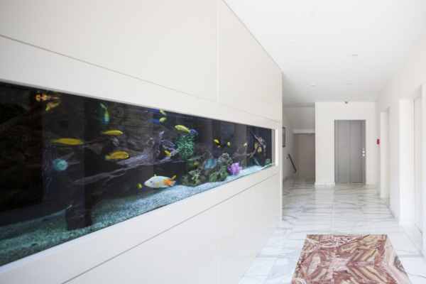 Aquarium room design ideas