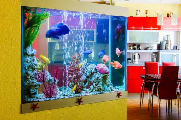 Aquarium room design ideas