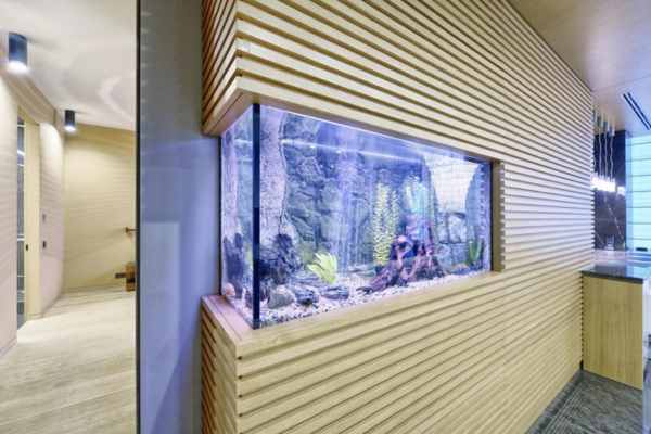 Aquarium room design ideas