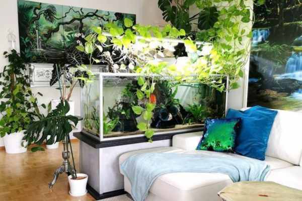 Aquarium room design ideas