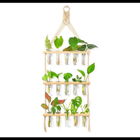 Macrame Hanging Propagation Set-01